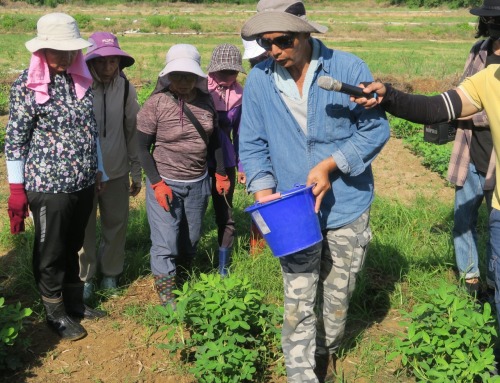 第十二屆 屏東縣農業大學屏南分班網路報名表